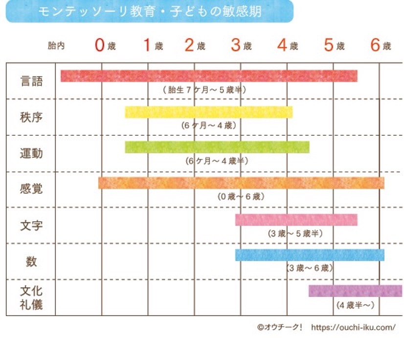 モンテッソーリ教育・子供の敏感期